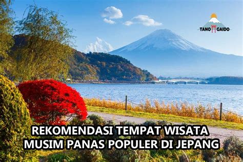 Galeri foto VIDIO BOKEB JEPANG lihat terlaris musim panas terkini sebelum terlambat daftar di buka di area voucher member