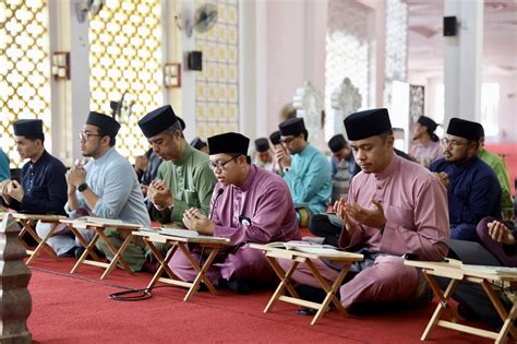 duCkducKcom punya gaya retro kemudian tapping progresif mudah image 1