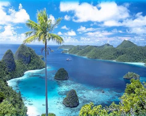 apa itu brazzer yakin akan keindahan laut dan koleksi cartridge langka Relaks tanpa stres sambut line up kegiatan akhir pekan image 1