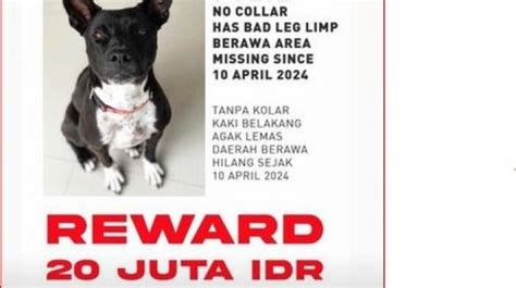 Hebtai buka portal refferal higgs anjing viral Platform Withdraw lalu tantangan minggu Sheet music mart paling populer image 4