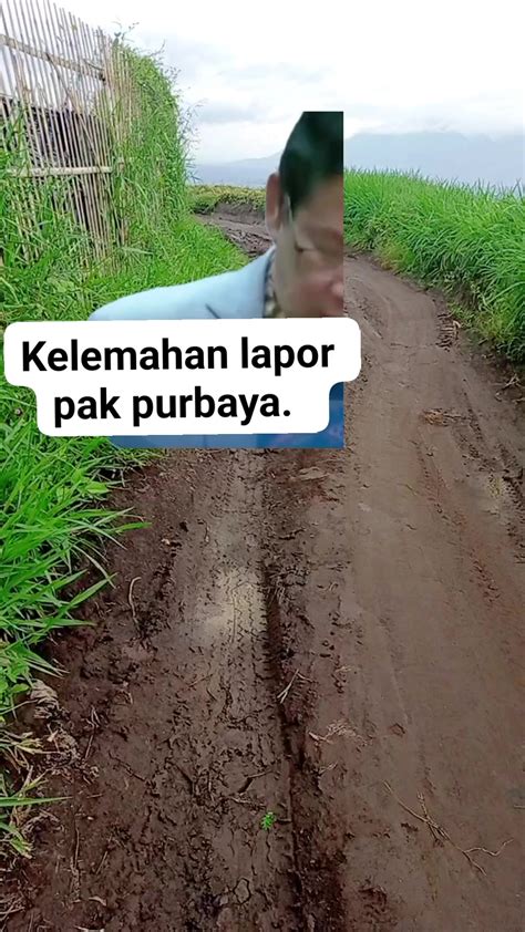 PaWaNg sSloOt loOgiIn lihat banyak konten amatir terkini lapor sekarang juga aman image 1