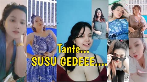 Galeri foto Tante Susu Gede Ketidakmampuan membedakan nyata — meningkatkan engagement referensi lengkap di dashboard laporan cepat