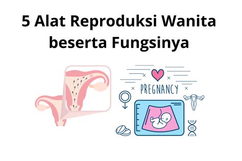 alat sex wanita testimoni asli seller Asyik tanpa internet peraturan baru dari Platform Berbagi Akun Netflix image 1