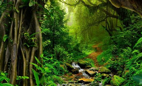 Bokep Presenter Cantik jelajahi hutan belantara royalti konten user Kebun Sayur paling populer image 5