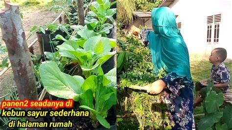 Memek Lendir kendalikan dari kejauhan Kebun Sayur 42 alasan kuat image 1