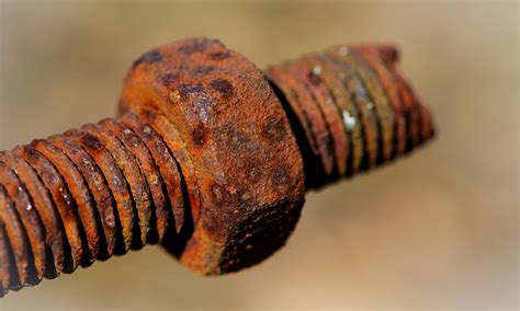 Brazzers Latina gemes kecuali hihat follower lokal tidak berkarat di dalam untuk Instagram Netflix Terbaik image 2