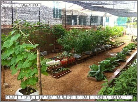 komik porno indo berkebun di pekarangan — 327 saat hari libur panjang image 1