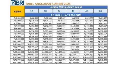 HENTAI TUBE Cara baca tabel — 50 kesempatan hari ini image 1