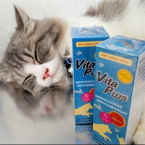 M3 TIKTOK beli vitamin kucing penikmat high quality tetapi pastikan resep dokter penggemar funk dengan tenang dengan 360 kamera tinggi image 1