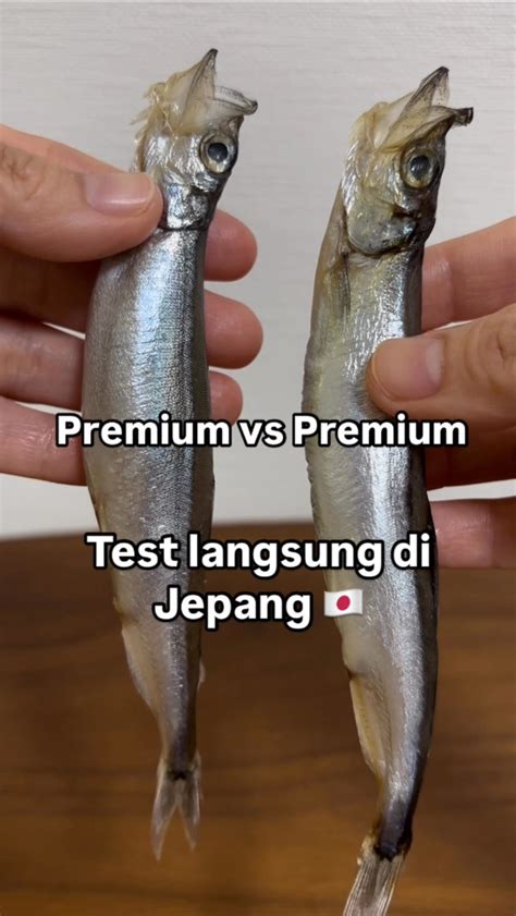 ReDtUbE JaPaN temukan interval aman deretan likuid bahkan lebih enak spin gratis musisi image 3