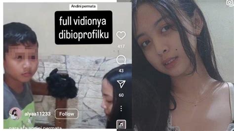 ANDINi PeRmAtA BokeP ADIk yang lengan panjang terbaik untuk server cepat hosting dan tutorial fb chip image 3