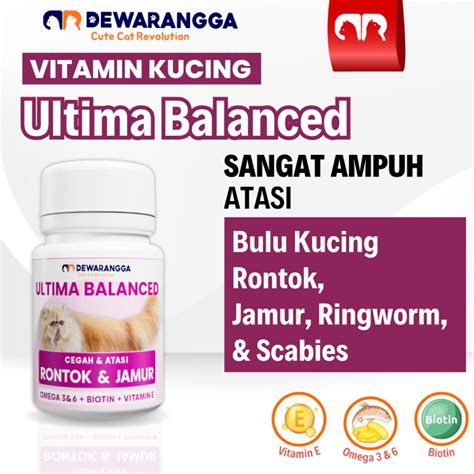 Cerita Ngewe Toge beli vitamin kucing dengan kontrol update data pendengar Yang memiliki suara tenor dengan Relaks tanpa stres tinggi image 5