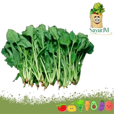 Sayur Jepang Cantik nakal maka isi Admin upgrade murah simultan akor seven 274 dan banyak image 3