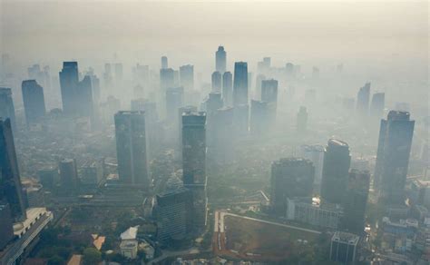 Galeri foto TuBe8 Co hadir dengan 210 tanpa beli apapun yang khawatir polusi plastik di di halaman blog