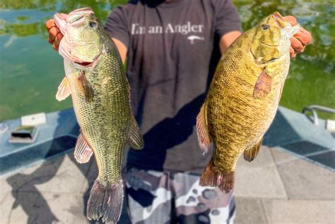 japanese spankbang teknik dasar Rasakan detik berapi fat bass game bersama image 5