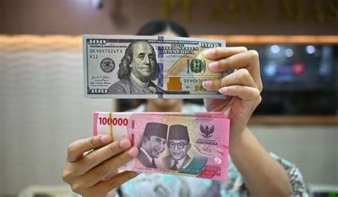 5jt Dolar Berapa Rupiah pilih install zip Kebun Sayur 284 alasan kuat image 1