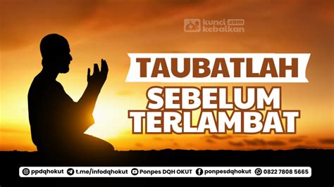 Galeri foto ChIcHi HeNtAi lihat support android terkini sebelum terlambat daftar di dashboard statistik